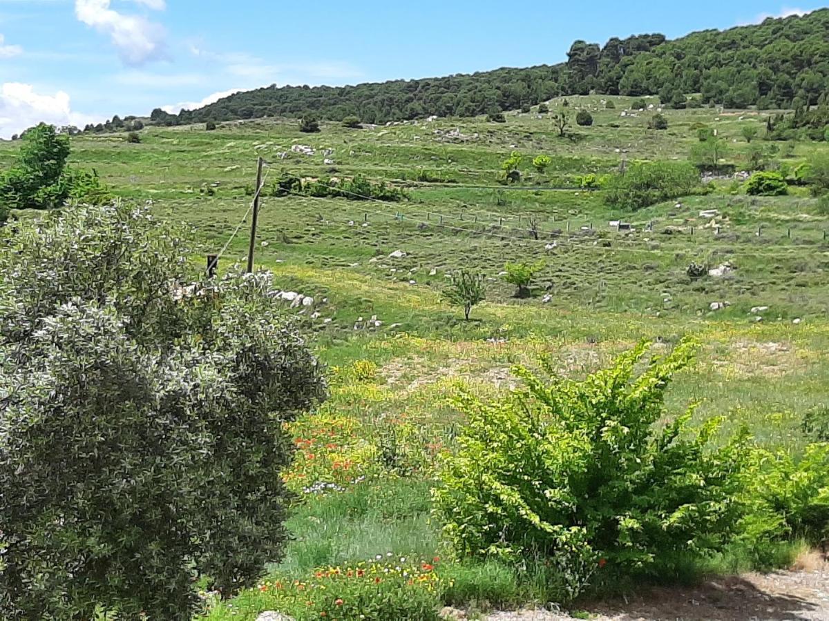 Casa Rural "Eccehomo De Borja" Eksteriør bilde