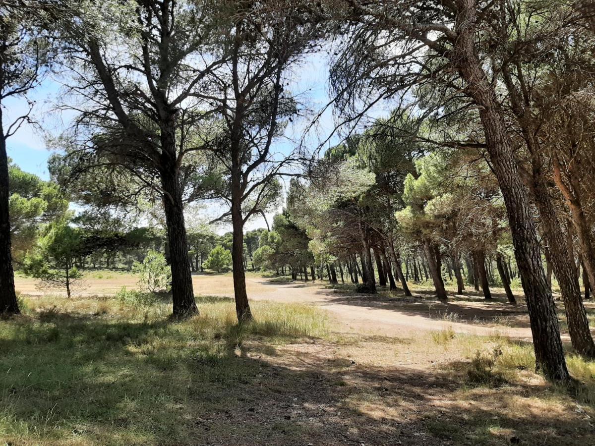 Casa Rural "Eccehomo De Borja" Eksteriør bilde