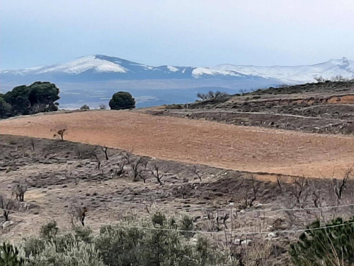 Casa Rural "Eccehomo De Borja" Eksteriør bilde