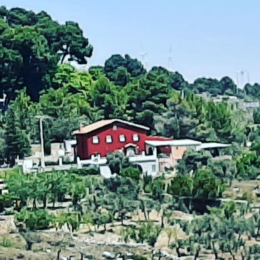 Casa Rural "Eccehomo De Borja" Eksteriør bilde